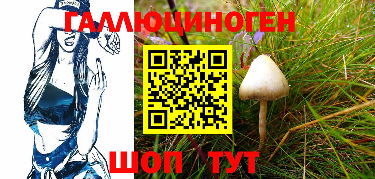 Галлюциногенные грибы Magic Shrooms Всеволожск