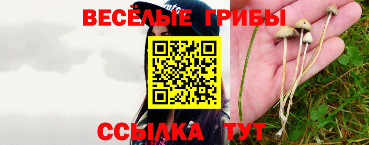 купить наркоту  Вход с VPN  Всеволожск  Галлюциногенные грибы Magic Shrooms  Галлюциногенные грибы Psilocybe 
